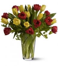 10 Red and 10 Yellow Tulips