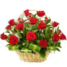 Romantic Roses