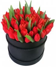 30 Red Tulips in Box